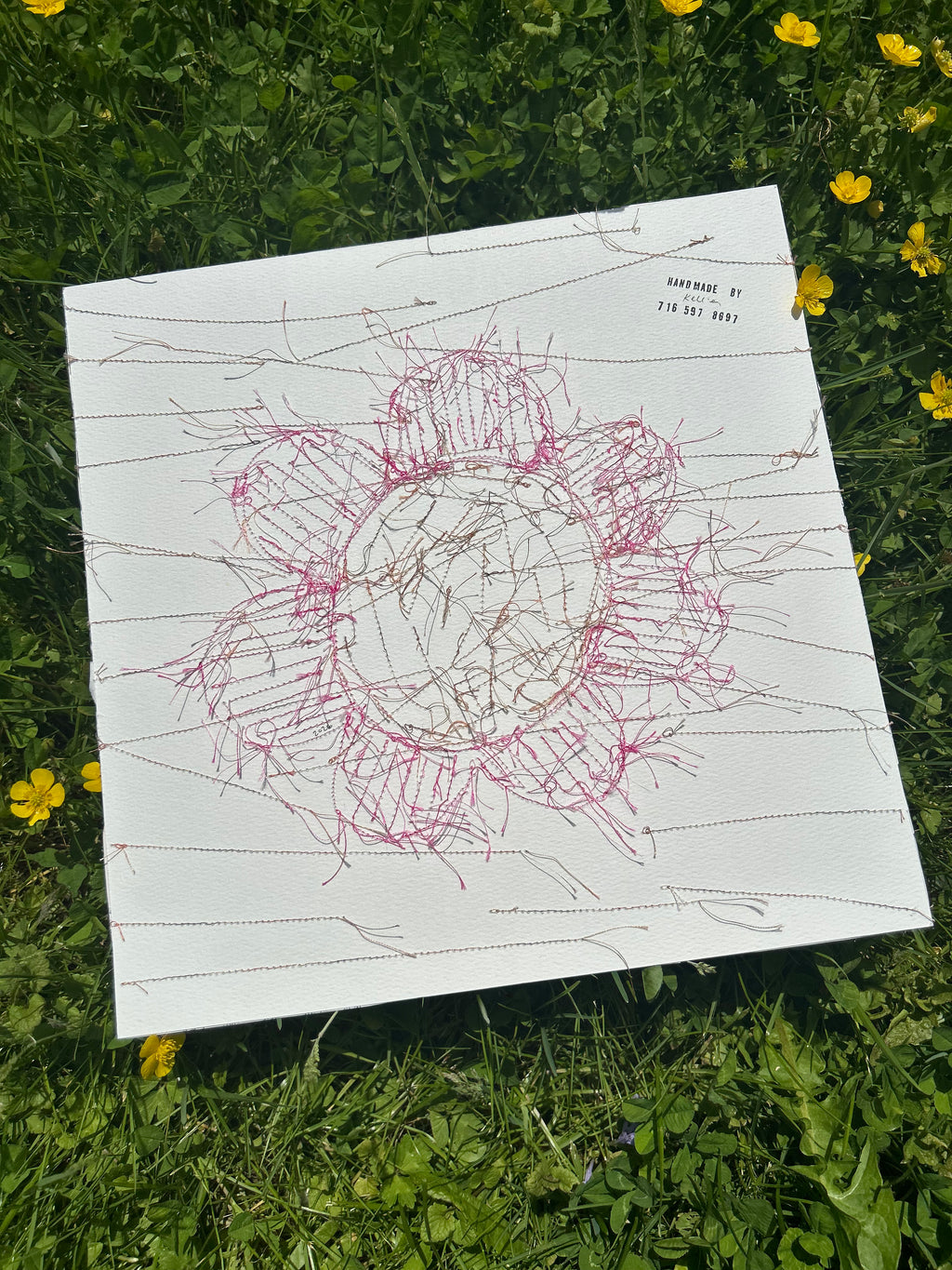 Bloom